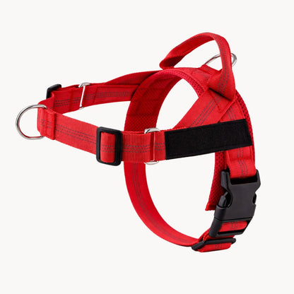 Casoria — Harnais Anti-Traction pour Chien