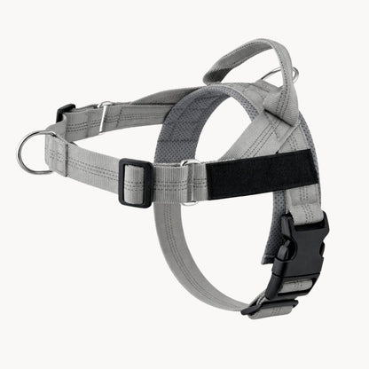 Casoria — Harnais Anti-Traction pour Chien
