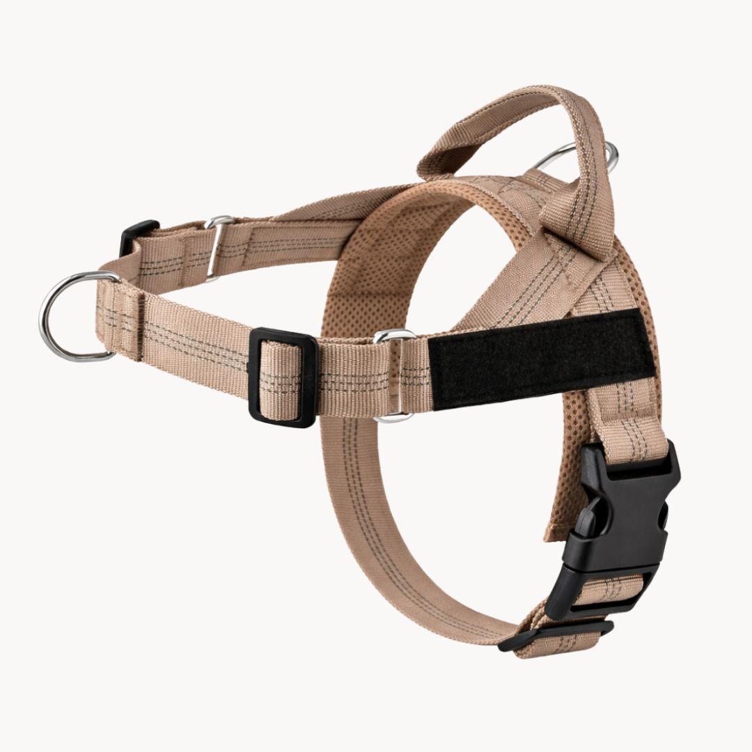 Casoria — Harnais Anti-Traction pour Chien