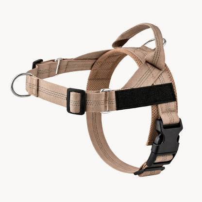 Casoria — Harnais Anti-Traction pour Chien