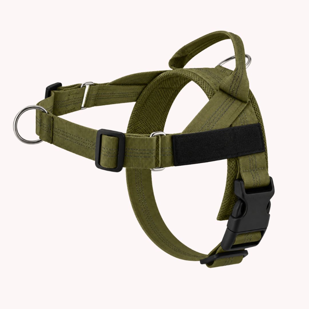 Casoria — Harnais Anti-Traction pour Chien