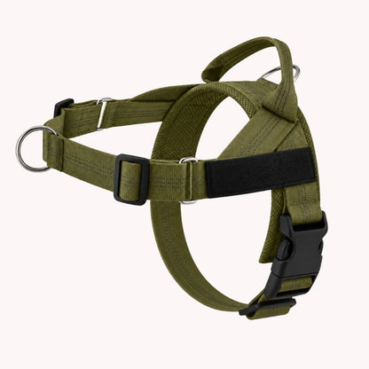 Casoria — Harnais Anti-Traction pour Chien