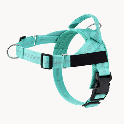 Casoria — Harnais Anti-Traction pour Chien
