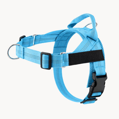 Casoria — Harnais Anti-Traction pour Chien