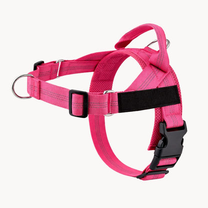 Casoria — Harnais Anti-Traction pour Chien