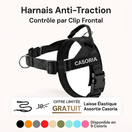 Casoria — Harnais Anti-Traction pour Chien
