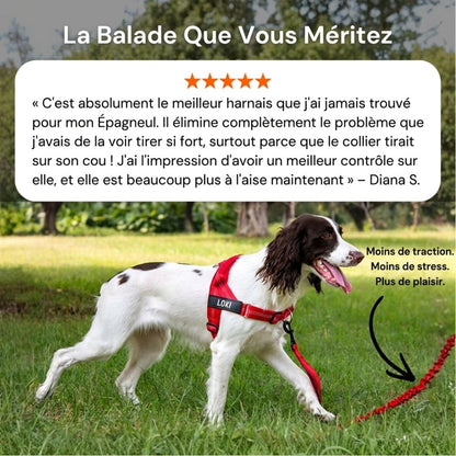 Casoria — Harnais Anti-Traction pour Chien