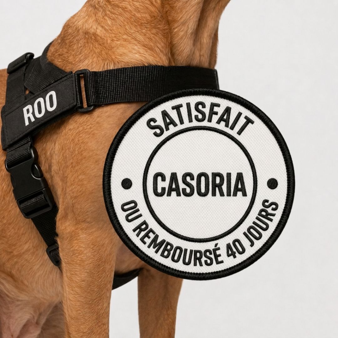 Casoria — Harnais Anti-Traction pour Chien