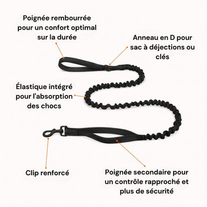 Casoria — Harnais Anti-Traction pour Chien