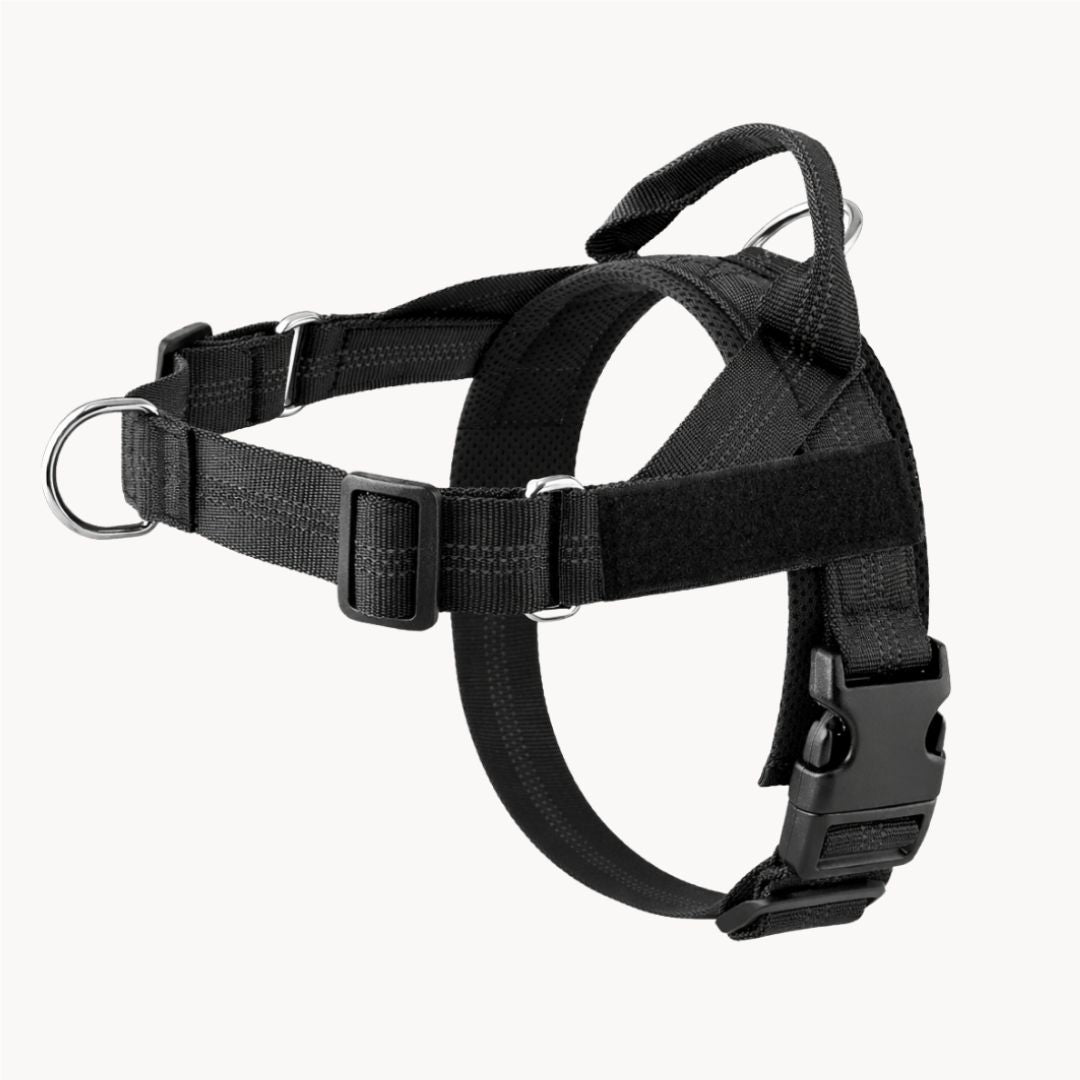 Casoria — Harnais Anti-Traction pour Chien
