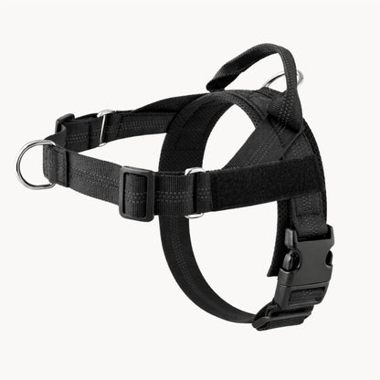 Casoria — Harnais Anti-Traction pour Chien