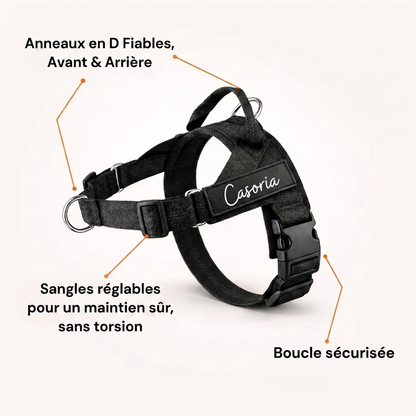 Casoria — Harnais Anti-Traction pour Chien